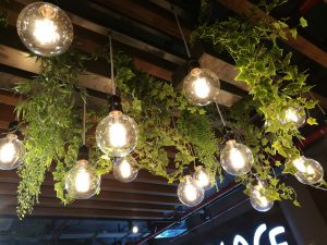 lamp with hanging plants